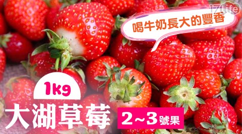 【家購網嚴選】大湖豐香草莓手提禮盒 1kg（約55-65顆）/盒  共