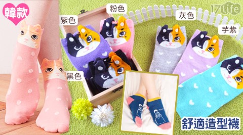 韓版喵柔棉透氣女造型襪