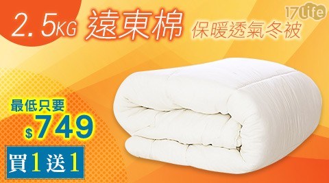 【買1入送1入】【A-ONE】2.5kg厚實遠東棉保暖透氣冬被 【買1入送1入】【A-ONE】2.5kg厚實遠東棉保暖透氣冬被