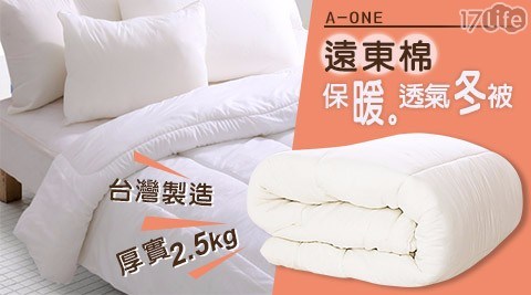 【A-ONE】遠東棉保暖透氣冬被 - 厚實2.5kg