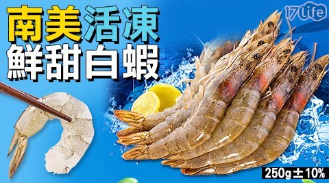 南美活凍鮮甜白蝦- 南美活凍鮮甜白蝦-