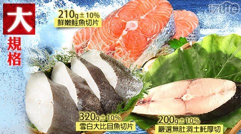 【優食網】大規格扁鱈(大比目魚)/鮭魚/土魠(任選)