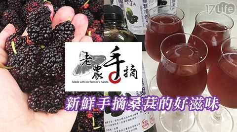 【老農手摘】野生桑葚濃縮果粒汁 【老農手摘】野生桑葚濃縮果粒汁