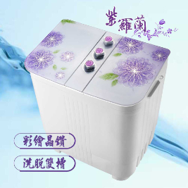 ZANWA晶華 4KG花漾雙槽洗衣機ZW-168D