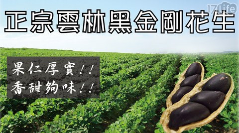 正宗雲林黑金剛落花生