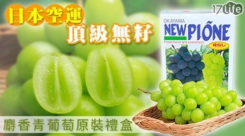 【NEW PIONE】空運無籽麝香蜜青葡萄禮盒(450g±10%/串)，共