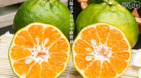 季節限定！台南東山青皮蜜柑(5斤±10%/盒) 1盒共