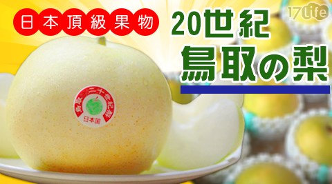 日本鳥取世紀水梨 原裝箱 12顆 5kg 5 箱 1箱共 精選 痞客邦 日本鳥取世紀水梨 原裝箱 12顆 5kg 5 箱 1箱共 精選 痞客邦