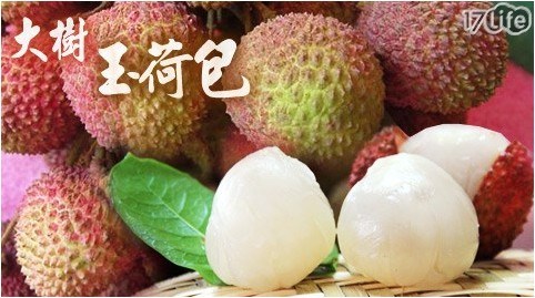 高雄大樹特級(少枝)玉荷包禮盒*1盒 共