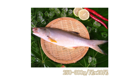 【新鮮市集】人氣原味午仔魚20尾(250-300g/尾)