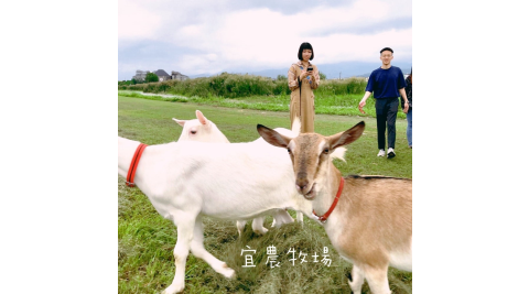 宜蘭冬山-宜農牧場(動物農莊餵食套餐)