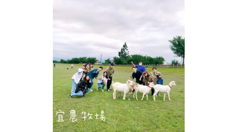 宜蘭冬山-宜農牧場(懶洋洋草原放牧體驗)