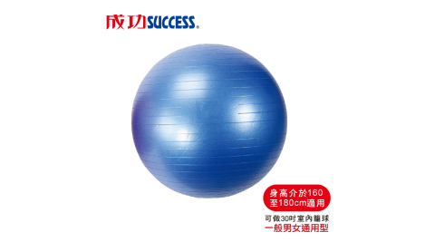 成功 安全防爆韻律球65cm S3806