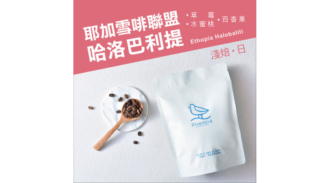 【江鳥咖啡 RiverBird】耶加雪啡聯盟 哈洛巴利提 半磅