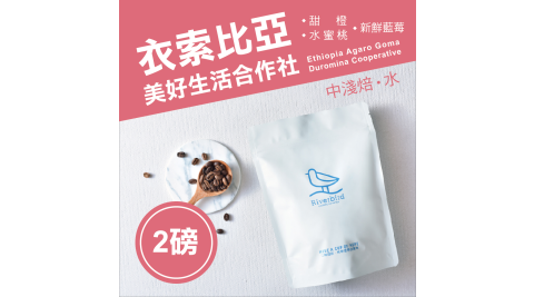 【江鳥咖啡 RiverBird】衣索比亞 美好生活合作社《兩磅》