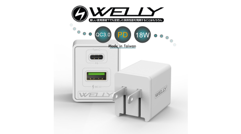 WELLY 18W台灣製PD+QC3.0快充 Type-C/USB-A 雙孔閃充充電器 折疊旅充頭