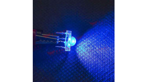 食人魚5mm高亮度LED-藍光(100pcs入)