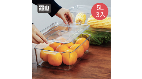 【日本霜山】廚房冰箱PET蔬果生鮮收納盒(附蓋)-5L-3入