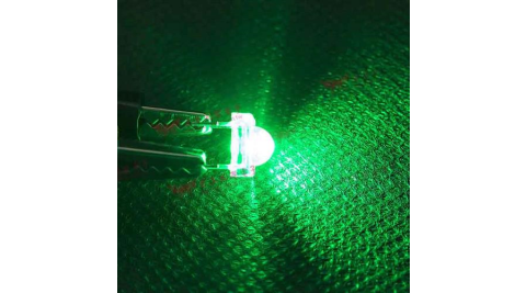 食人魚5mm高亮度LED-綠光(100pcs入)