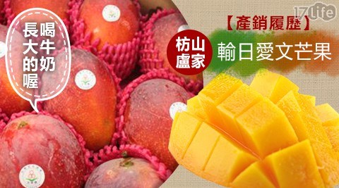 【枋山嚴選】產銷履歷完熟牛奶愛文芒果(9~12粒裝，2.5kg) 共