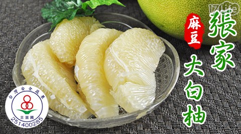 【麻豆張家】18菌(優酪乳菌)栽種吉園圃40年頂級爆汁大白柚