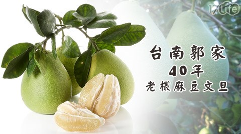 平均每箱最低只要259元起(2箱免运)即可购得台南郭家40年老欉麻豆文旦