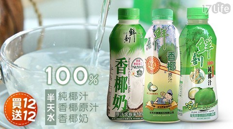 【半天水】限量買12送12！100%純椰汁/香椰原汁/香椰奶任選 2組共