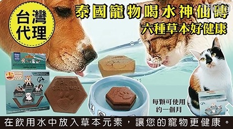 【寵喵樂】【買一送一】泰國寵物喝水淨水神仙磚 共
