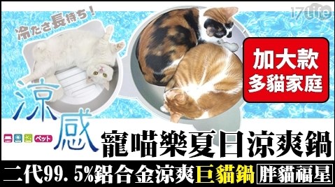 夏季限定涼版【寵喵樂】99.5%鋁合金二代巨貓砂鍋(貓睡窩)