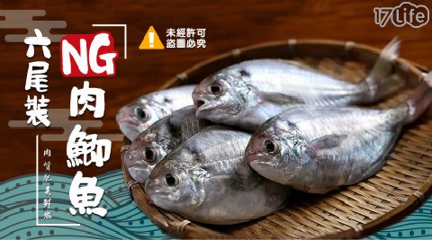 美味不NG肉鯽魚 3包 共