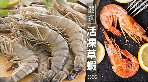 嚴選活凍草蝦 330G 24尾 共 嚴選活凍草蝦 330G 24尾 共