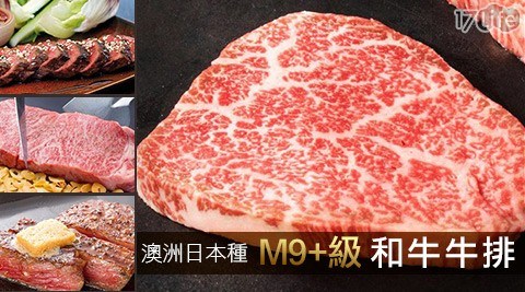 【極鮮配】澳洲日本種M9+級和牛牛排