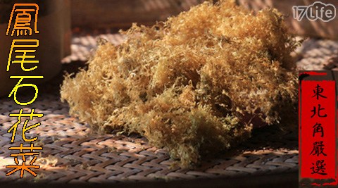 石花凍/紅藻/嚴選/石花菜/天然/健康