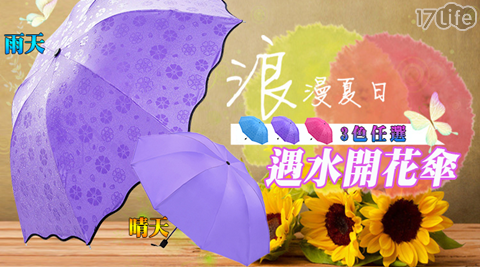 雨傘/遇水見花/魔術傘/傘/雨具/摺疊傘