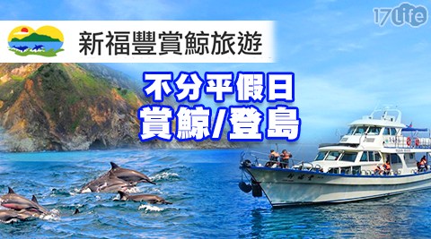 宜蘭 新福豐36號賞鯨旅遊-不分平假日!賞鯨/登島 探索自然渡假遊