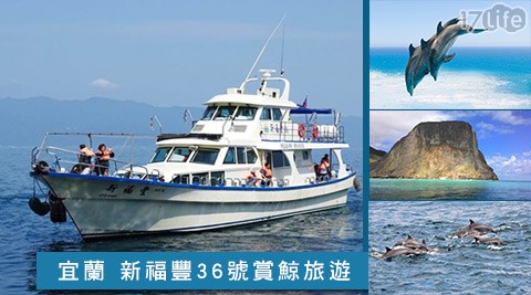 宜蘭 新福豐36號賞鯨旅遊-不分平假日讓我們賞鯨去專案