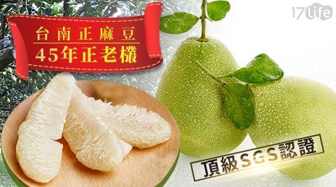 【台南正麻豆】頂級SGS認證45年正老欉文旦禮盒(1箱),共