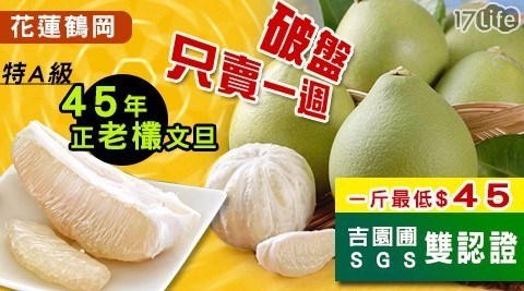 【柚王】吉園圃SGS花蓮鶴岡45年老欉文旦禮盒(1箱),共