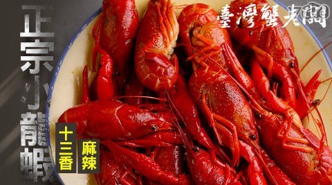 【台灣蟹老闆】限時獨家優惠！正宗小龍蝦(麻辣/十三香) 任選1盒