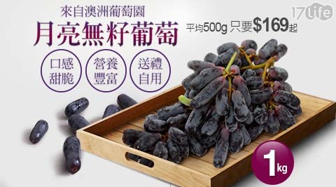 【築地一番鮮】澳洲月亮無籽葡萄(1kg/包) 【築地一番鮮】澳洲月亮無籽葡萄(1kg/包)
