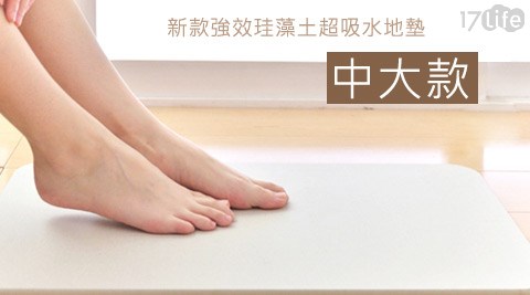 新款強效珪藻土超吸水地墊(中大款)2入特惠組 新款強效珪藻土超吸水地墊(中大款)2入特惠組