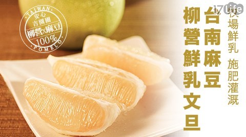 【牧場鮮乳】台南麻豆產銷履歷認證文旦禮盒(10斤,10-12顆*1盒) 共