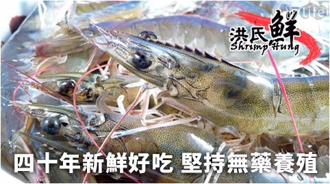 【台南洪氏鮮蝦】SGS+TAP安心無毒雙認證新鮮急凍生蝦