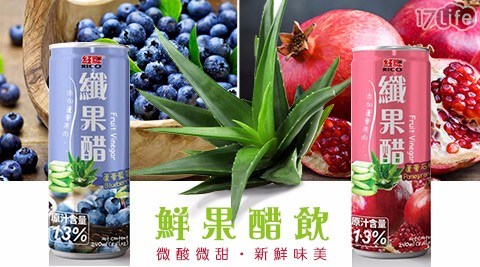 【紅牌】鮮果醋飲(蘆薈石榴/蘆薈藍莓)(12罐/組)