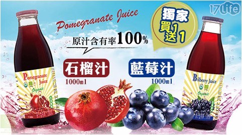 【買一瓶送一瓶】100%有機石榴汁/100%有機藍莓汁1000ml任選共