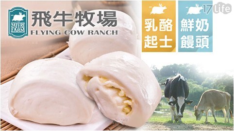 【飛牛牧場】鮮奶/特濃乳酪饅頭(6入/包)