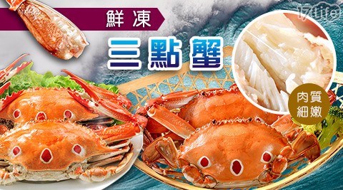 【金鮮】鮮凍三點蟹(公蟹，7~8隻/盒)