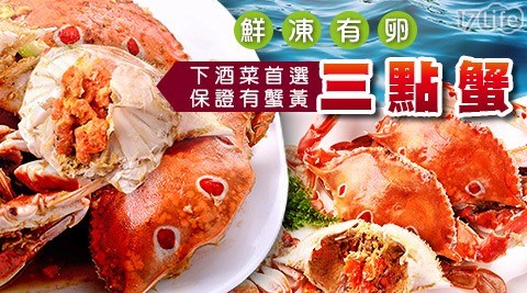 【金鮮】鮮凍有卵三點蟹(母蟹，7~8隻/盒)