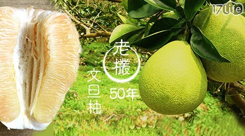 特選正宗50年老欉台南麻豆老欉文旦