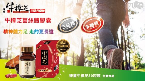 【臻璽】牛樟芝菌絲體膠囊30粒裝